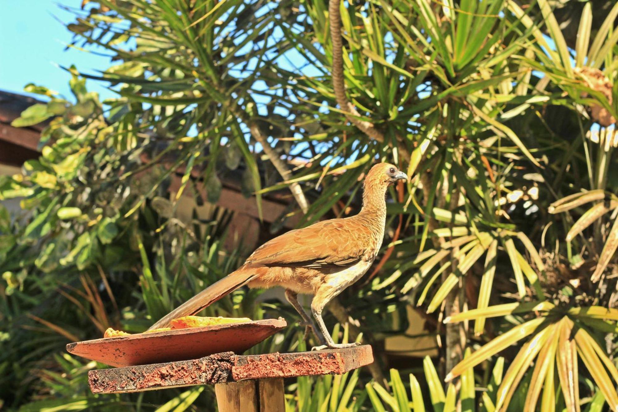 Pousada Fragata - Arraial D Ajuda - Melhor Localizacao E Atendimento Arraial d'Ajuda Luaran gambar